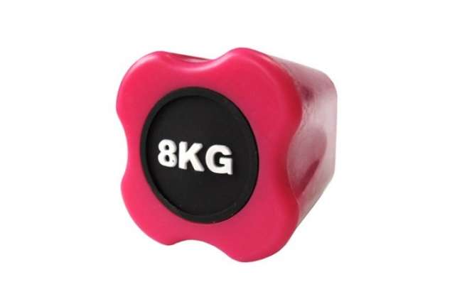 Бодибар Original Fit. Tools 8 кг розовый наконечник Бодибар Original Fit. Tools 8 кг розовый наконечник