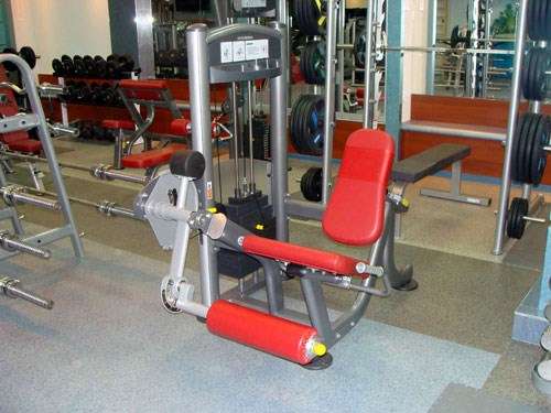 Разгибание ног AeroFit IT9305