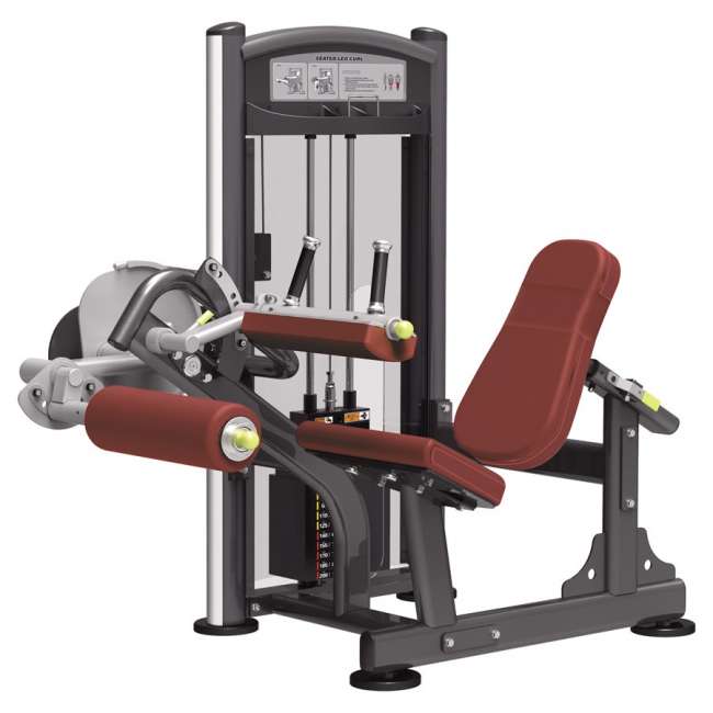 Сгибание ног сидя AeroFit IT9306