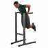 Брусья Body-Solid GDIP-59 Брусья Body-Solid GDIP-59
