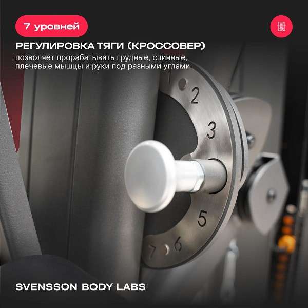 Силовой комплекс Svensson Body Labs RIGEL PLUS PRO Силовой комплекс Svensson Body Labs RIGEL PLUS PRO