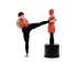 Манекен для бокса DFC Boxing Punching Man-Heavy TLS-B без регулировки Манекен для бокса DFC Boxing Punching Man-Heavy TLS-B без регулировки